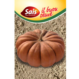 ZUCCA MUSQUEE DE PROVENCE - 1 BUSTINA