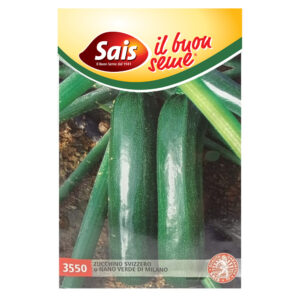 ZUCCHINO SVIZZERO O NANO VERDE MILANO - 1 BUSTINA