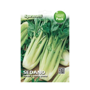 SEDANO VERDE A COSTA PIENA