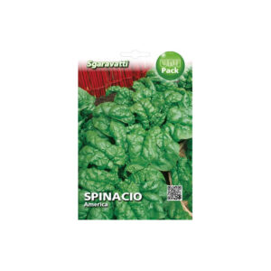 SPINACIO AMERICA 500 GR