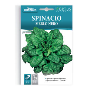 SPINACIO MERLO NERO - 1 BUSTINA
