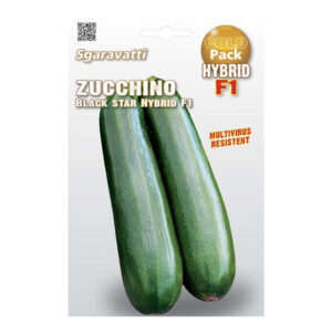 ZUCCHINO BLACK STAR HYBRID F1