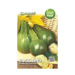 ZUCCHINO TONDO DI PIACENZA