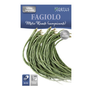 FAGIOLO A METRO ROSATO RAMPICANTE 40 GR