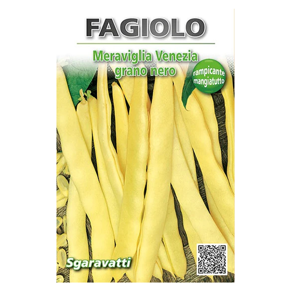 Fagiolo Meraviglia Venezia Rampicante 250 Gr