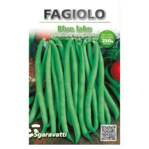 FAGIOLO BLUE LAKE RAMPICANTE 250 GR