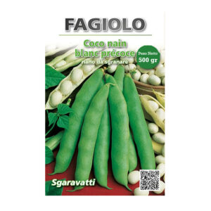 FAGIOLO COCO BIANCO NANO 500 GR