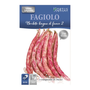FAGIOLO BORLOTTO LINGUA DI FUOCO 2 250 GR