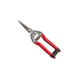 FORBICE COGLIUVA RETTA 19 CM