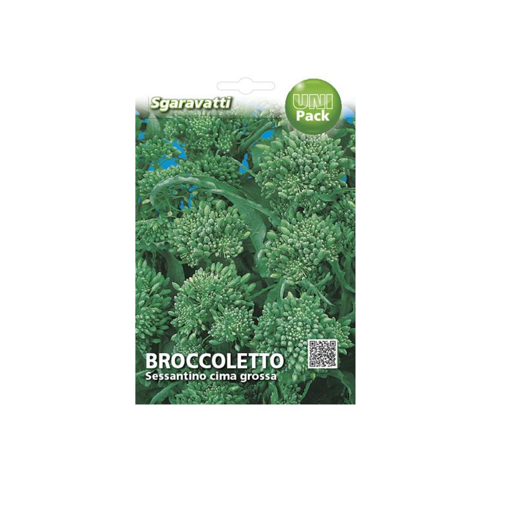 BROCCOLETTO SESSANTINO CIMA GROSSA 500 GR