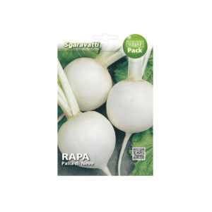 RAPA PALLA DI NEVE 100 GR