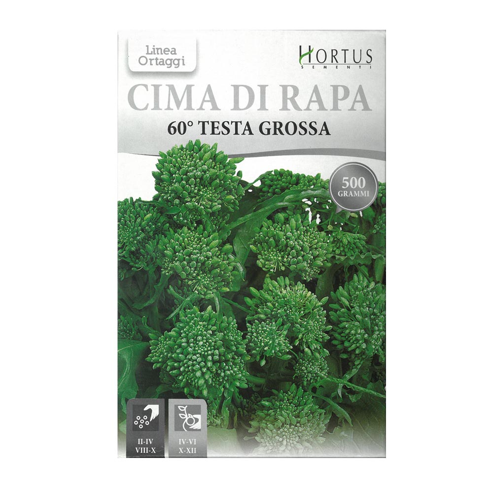 CIMA DI RAPA SESSANTINA TESTA GROSSA 500 GR
