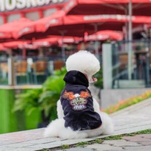 PET TRIBE GIUBBOTTO BIKER DUDE 25 CM