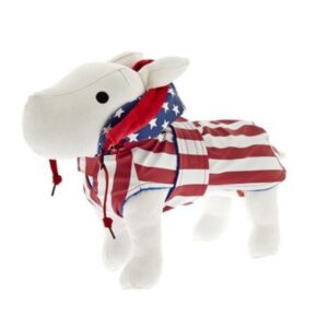 FERRIBIELLA CAPPOTTO FROZEN USA 20 CM