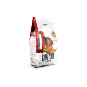 GIUNTINI BYRBA FRESH MEDIUM / MAXI SALMONE 3 KG