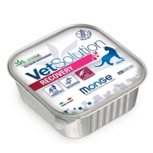 MONGE VETSOLUTION FELINE RECOVERY UMIDO 100 GR