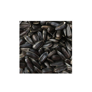 MANITOBA GIRASOLE NERO MICRO 500 GR