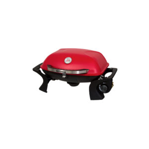 BARBECUE A GAS PORTATILE DA ESTERNO PG101