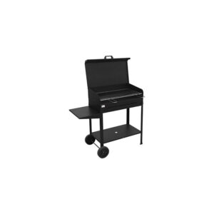 BARBECUE A CARBONE DORIANO 60X40 CM