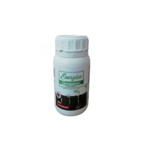 ENERGICA GREENPOWER RADICANTE 100 GR