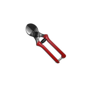 FORBICE FRUTTETO DOPPIO TAGLIO 20 CM