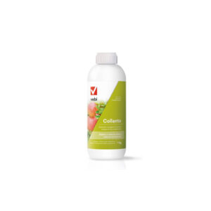VEBI COLLANTE 1 KG