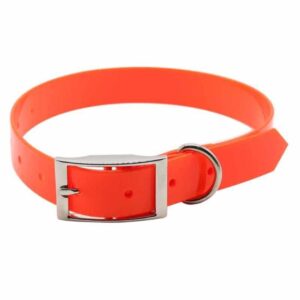 PET TRIBE COLLARE CHASSE ARANCIO CM. 60 X 2.5