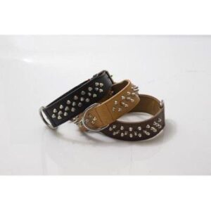 LEOPET COLLARE PITBULL NERO 4 X 60 CM