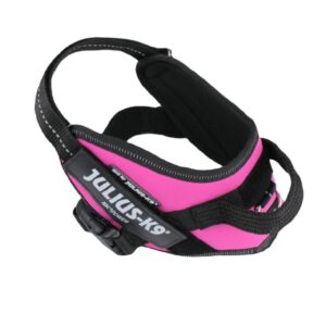 JULIUS K9 PETTORINA POWERHARNESS ROSA SCURO MISURA 0