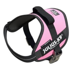 JULIUS K9 PETTORINA POWERHARNESS ROSA MISURA MINI