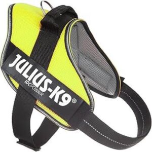 JULIUS K9 PETTORINA POWERHARNESS GIALLO MISURA MINIMINI
