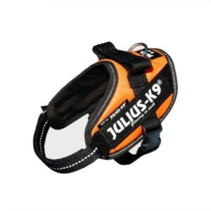 JULIUS K9 PETTORINA POWERHARNESS ARANCIO MISURA 1