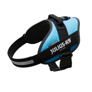 JULIUS K9 PETTORINA POWERHARNESS ACQUAMARINA MISURA 2