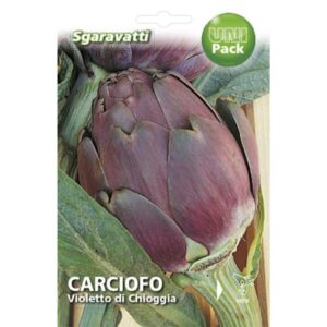 CARCIOFO VIOLETTO DI CHIOGGIA - ALPACK