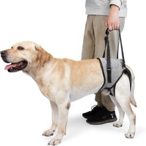 PET TRIBE WALKING AID HIND LEGS MISURA L
