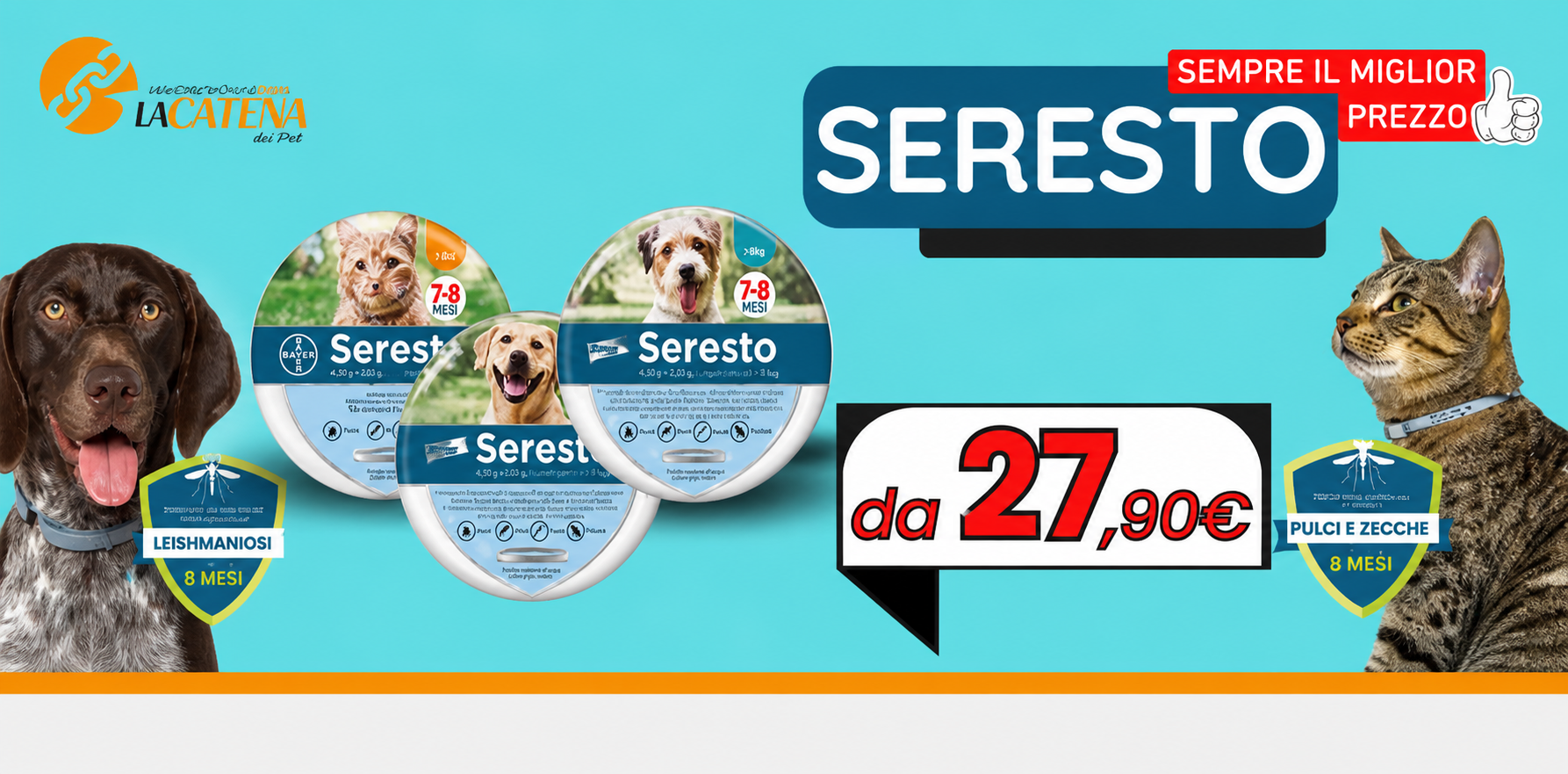 Offerta laterale 1